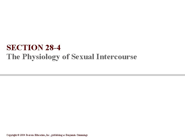 SECTION 28 -4 The Physiology of Sexual Intercourse Copyright © 2004 Pearson Education, Inc.