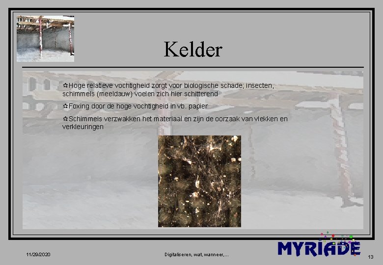 Kelder ¶Hoge relatieve vochtigheid zorgt voor biologische schade; insecten, schimmels (meeldauw) voelen zich hier