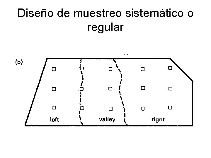 Diseño de muestreo sistemático o regular 