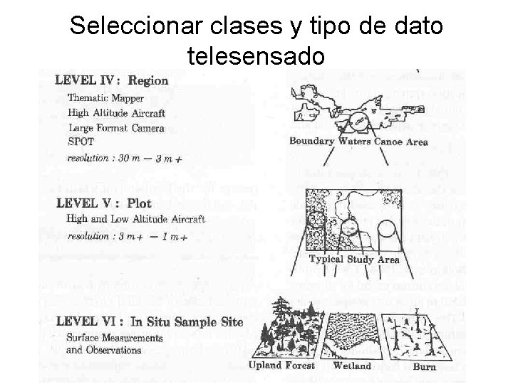 Seleccionar clases y tipo de dato telesensado 