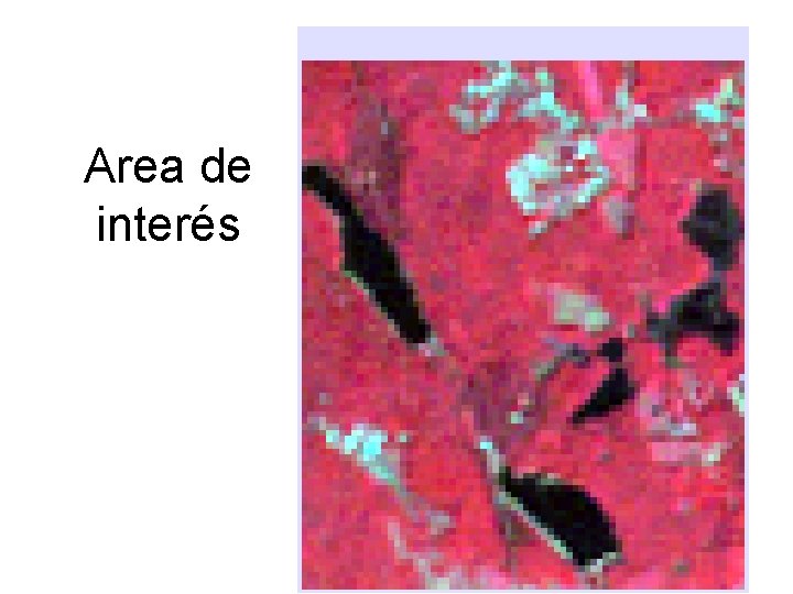 Area de interés 