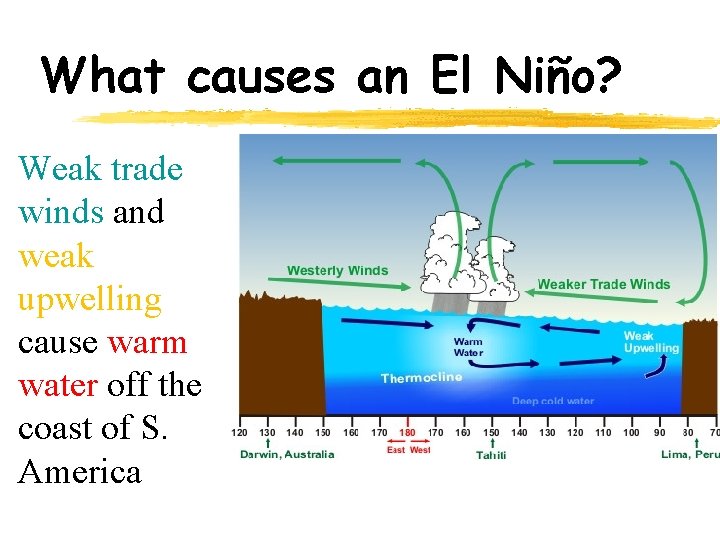 What causes an El Niño? Weak trade winds and weak upwelling cause warm water