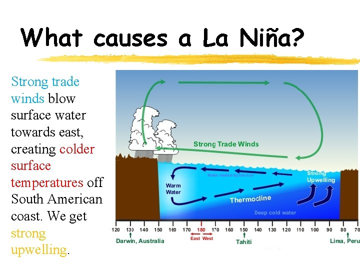 What causes a La Niña? Strong trade winds blow surface water towards east, creating