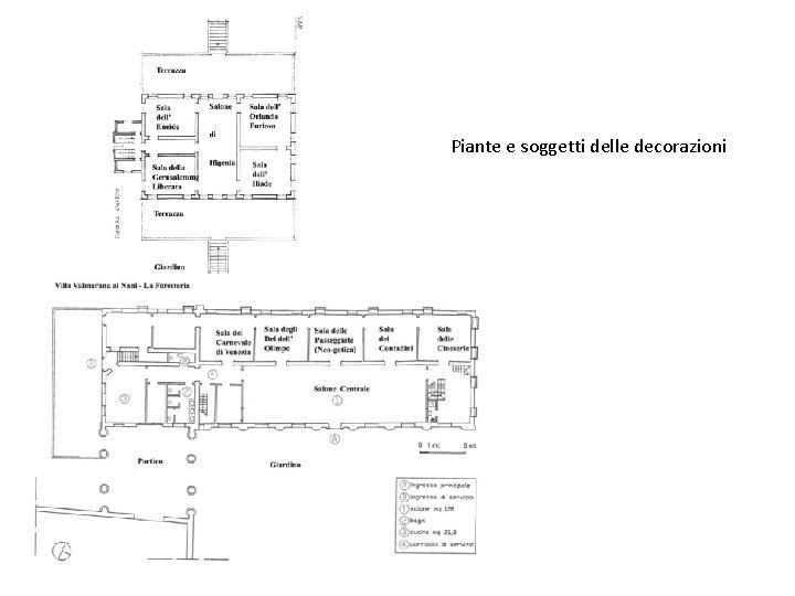 Piante e soggetti delle decorazioni 