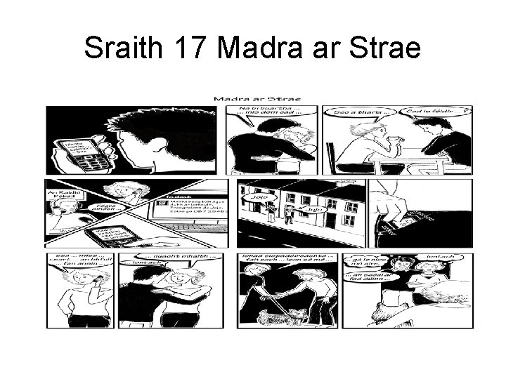 Sraith 17 Madra ar Strae 