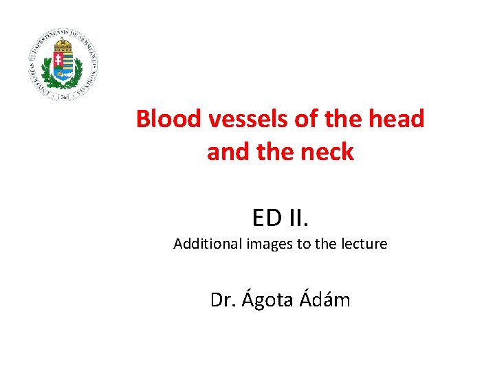 Blood vessels of the head and the neck ED II. Additional images to the