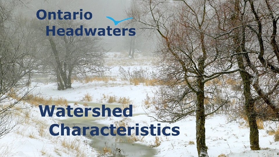 Watershed Characteristics 