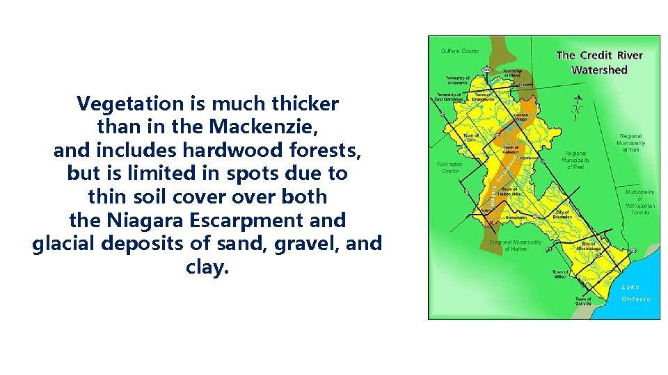 Vegetation is much thicker than in the Mackenzie, and includes hardwood forests, but is