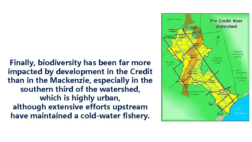 Finally, biodiversity has been far more impacted by development in the Credit than in