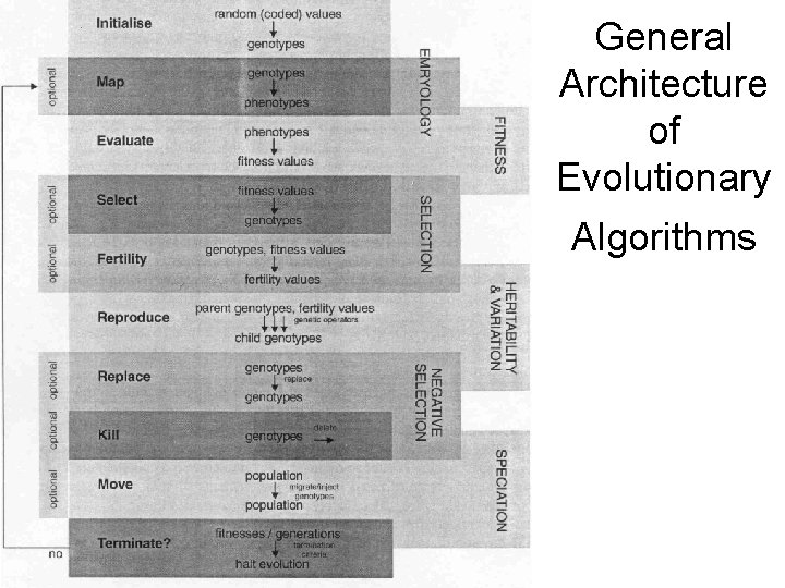 General Architecture of Evolutionary Algorithms 