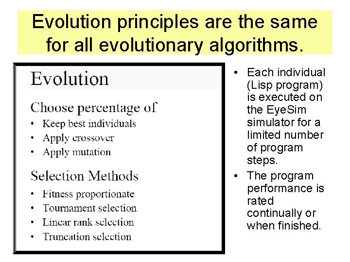 Evolution principles are the same for all evolutionary algorithms. • Each individual (Lisp program)