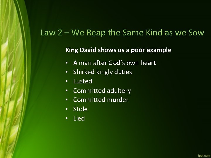 Law 2 – We Reap the Same Kind as we Sow King David shows