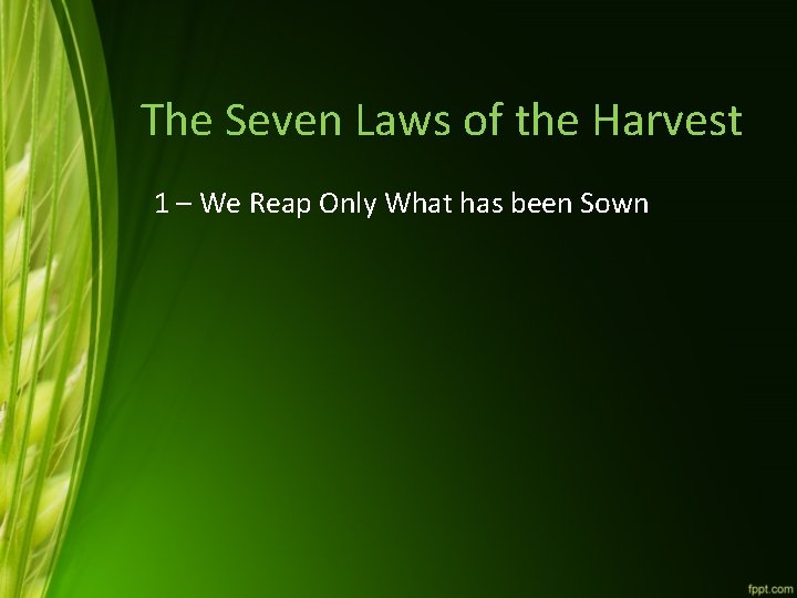 The Seven Laws of the Harvest 1 – We Reap Only What has been