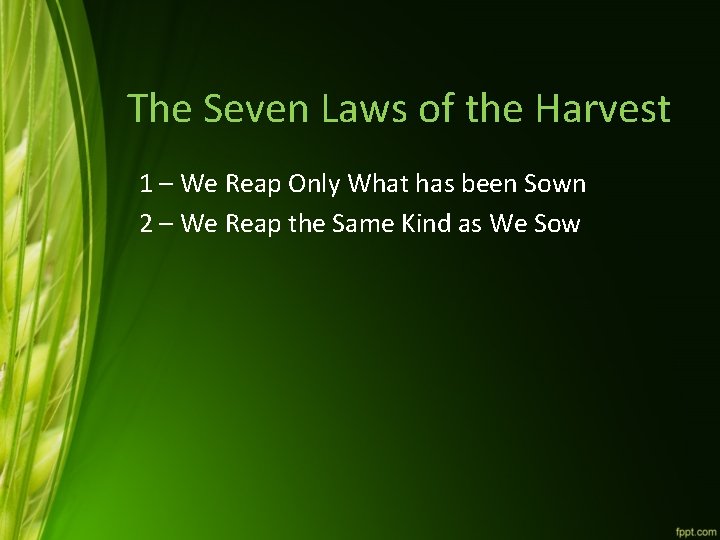 The Seven Laws of the Harvest 1 – We Reap Only What has been