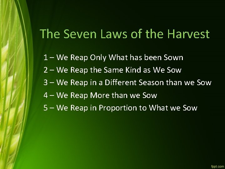 The Seven Laws of the Harvest 1 – We Reap Only What has been