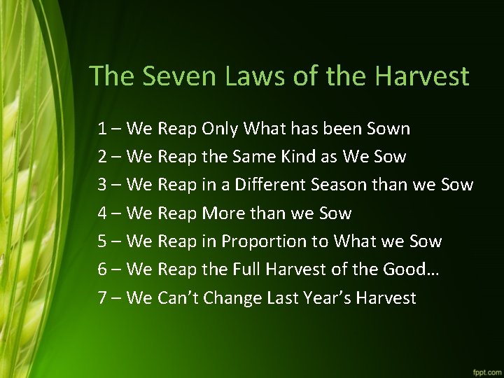 The Seven Laws of the Harvest 1 – We Reap Only What has been