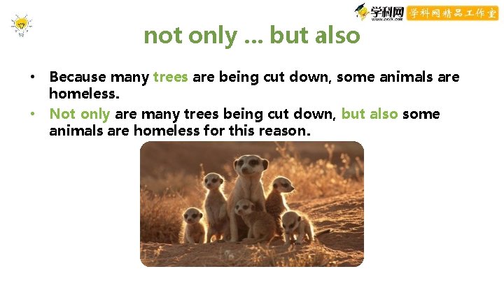 not only. . . but also • Because many trees are being cut down, not only. . . but also • Because many trees are being cut down,