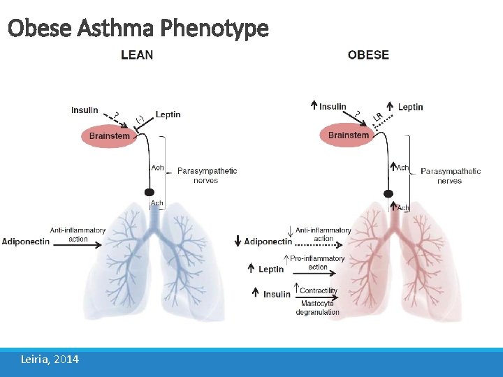 Obese Asthma Phenotype Leiria, 2014 