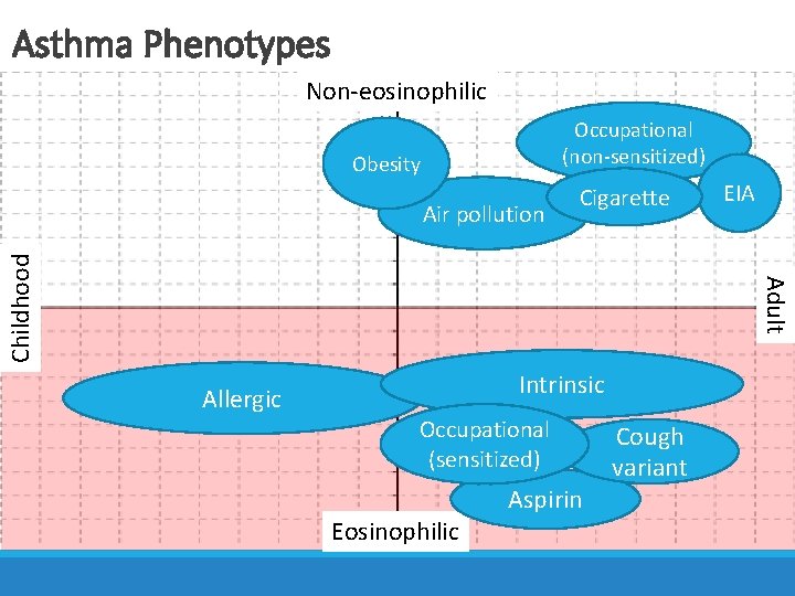 Asthma Phenotypes Non-eosinophilic Active panel patients with DM Occupational (non-sensitized) Obesity EIA Adult Childhood