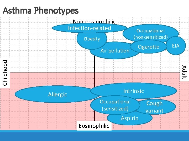 Asthma Phenotypes Non-eosinophilic Infection-related Active panel patients with DM Occupational (non-sensitized) Obesity EIA Adult