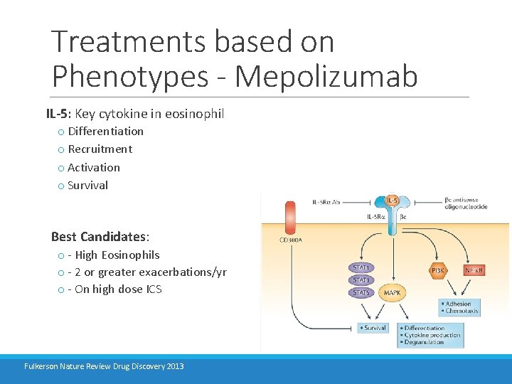 Treatments based on Phenotypes - Mepolizumab IL-5: Key cytokine in eosinophil o Differentiation o