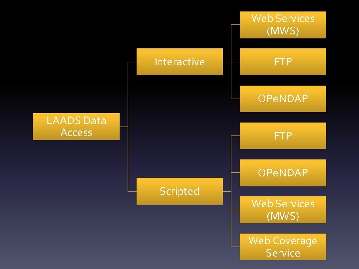 Web Services (MWS) Interactive FTP OPe. NDAP LAADS Data Access FTP OPe. NDAP Scripted