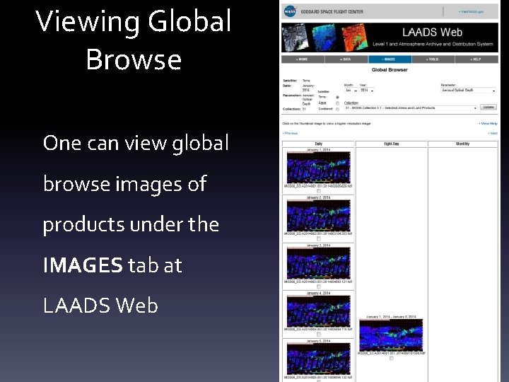 Viewing Global Browse One can view global browse images of products under the IMAGES