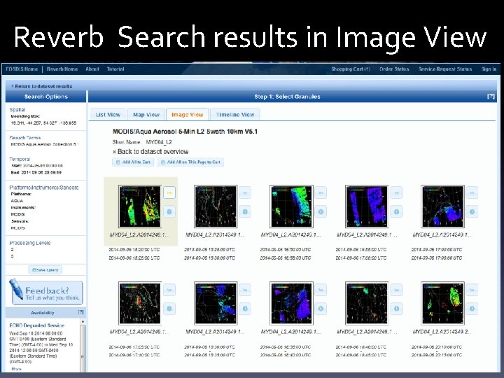 Reverb Search results in Image View 