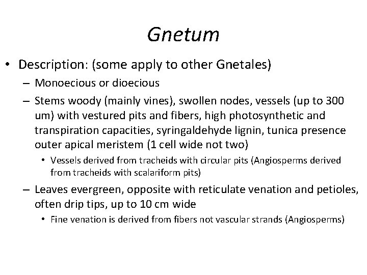 Gnetum • Description: (some apply to other Gnetales) – Monoecious or dioecious – Stems