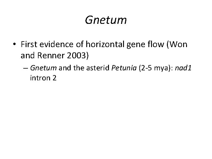 Gnetum • First evidence of horizontal gene flow (Won and Renner 2003) – Gnetum