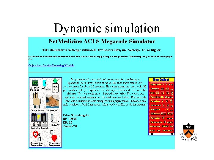 Dynamic simulation 