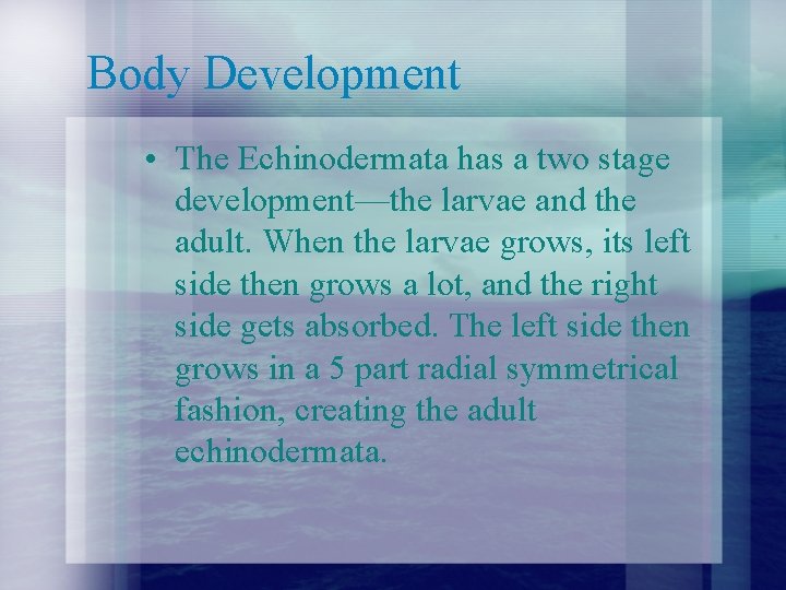 Body Development • The Echinodermata has a two stage development—the larvae and the adult. Body Development • The Echinodermata has a two stage development—the larvae and the adult.