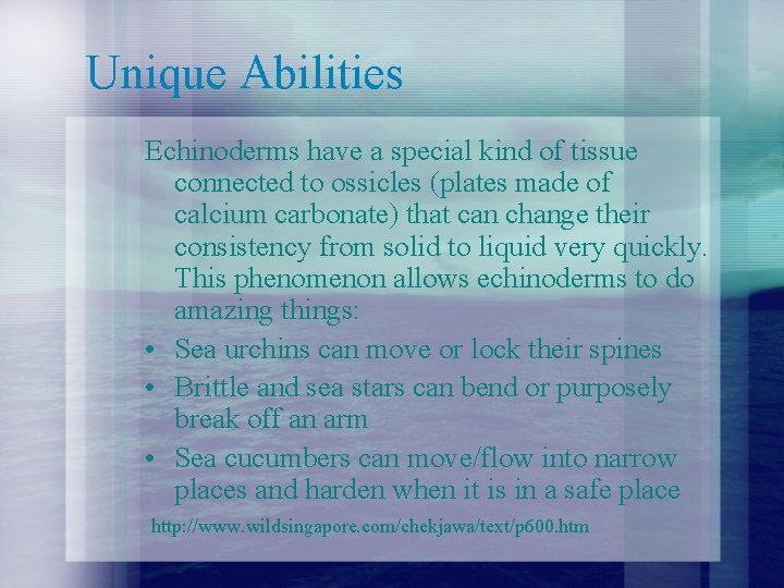 Unique Abilities Echinoderms have a special kind of tissue connected to ossicles (plates made Unique Abilities Echinoderms have a special kind of tissue connected to ossicles (plates made