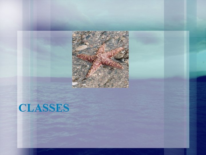 CLASSES CLASSES