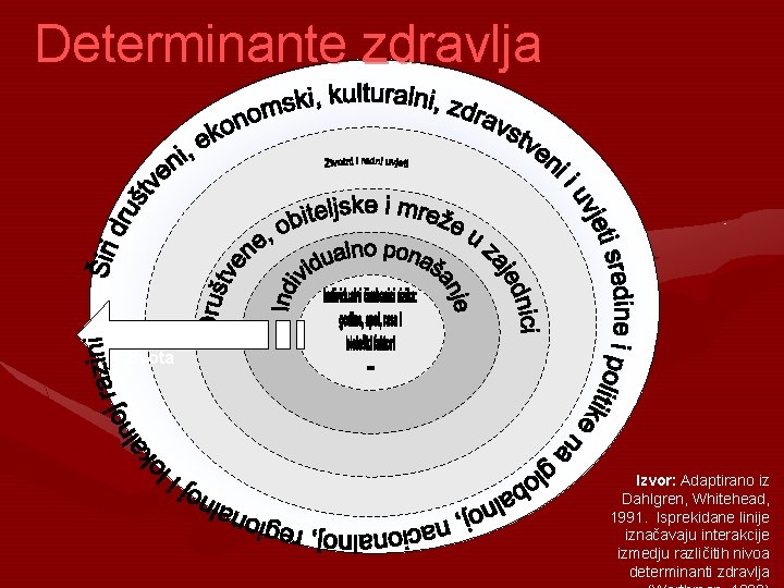 Determinante zdravlja Tokom celog života Izvor: Adaptirano iz Dahlgren, Whitehead, 1991. Isprekidane linije iznačavaju