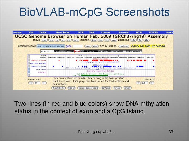 Bio. VLAB-m. Cp. G Screenshots Two lines (in red and blue colors) show DNA