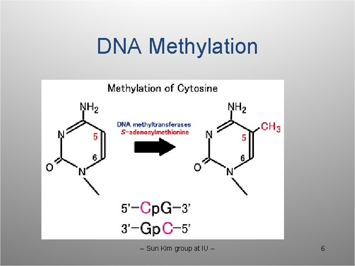 DNA Methylation -- Sun Kim group at IU -- 6 