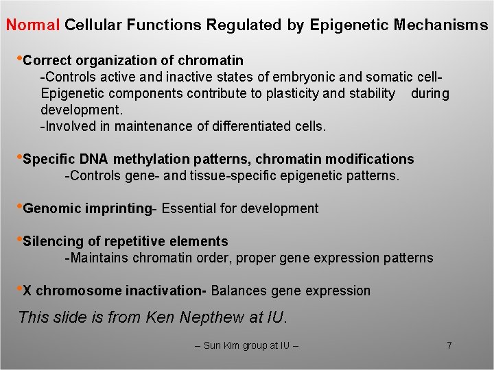 Normal Cellular Functions Regulated by Epigenetic Mechanisms • Correct organization of chromatin -Controls active