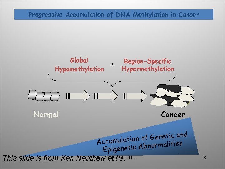 Progressive Accumulation of DNA Methylation in Cancer Global Hypomethylation + Region-Specific Hypermethylation Normal Cancer