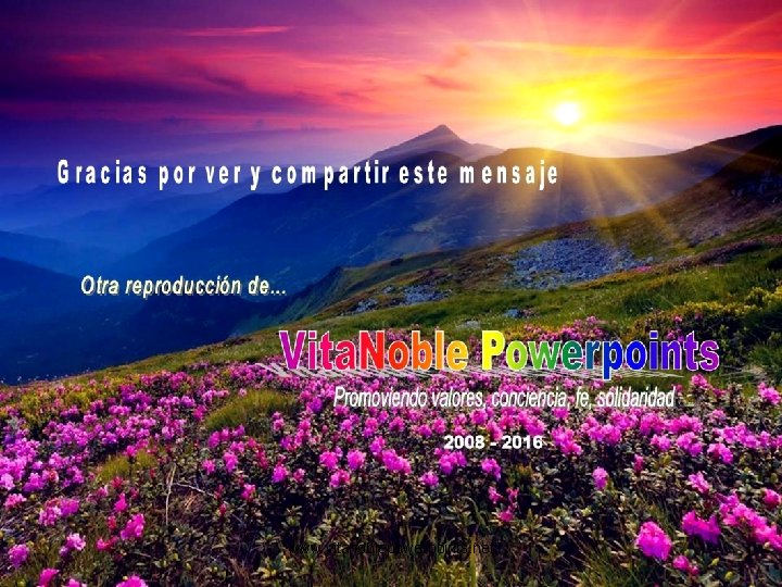 Muchas gracias por ver y compartir este pps Otra reproducción de… www. vitanoblepowerpoints. net Muchas gracias por ver y compartir este pps Otra reproducción de… www. vitanoblepowerpoints. net
