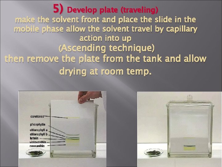 5) Develop plate (traveling) make the solvent front and place the slide in the