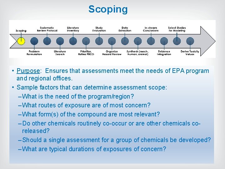 Scoping • Purpose: Ensures that assessments meet the needs of EPA program and regional Scoping • Purpose: Ensures that assessments meet the needs of EPA program and regional