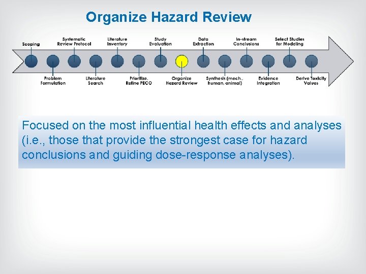 Organize Hazard Review Focused on the most influential health effects and analyses (i. e. Organize Hazard Review Focused on the most influential health effects and analyses (i. e.