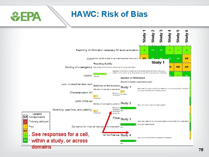 Study 6 Study 5 Study 4 Study 3 Study 2 Study 1 HAWC: Risk Study 6 Study 5 Study 4 Study 3 Study 2 Study 1 HAWC: Risk