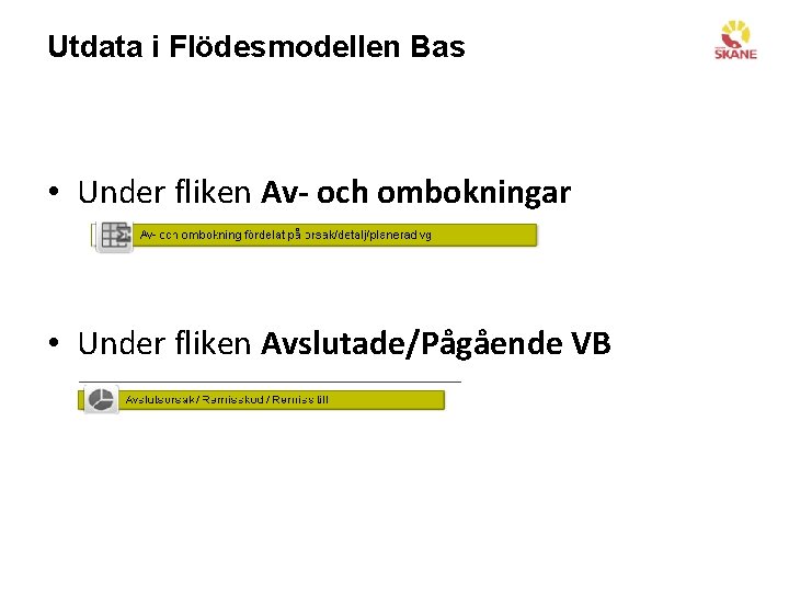 Utdata i Flödesmodellen Bas • Under fliken Av- och ombokningar • Under fliken Avslutade/Pågående