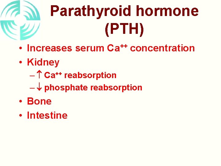 Parathyroid hormone (PTH) • Increases serum Ca++ concentration • Kidney – Ca++ reabsorption –