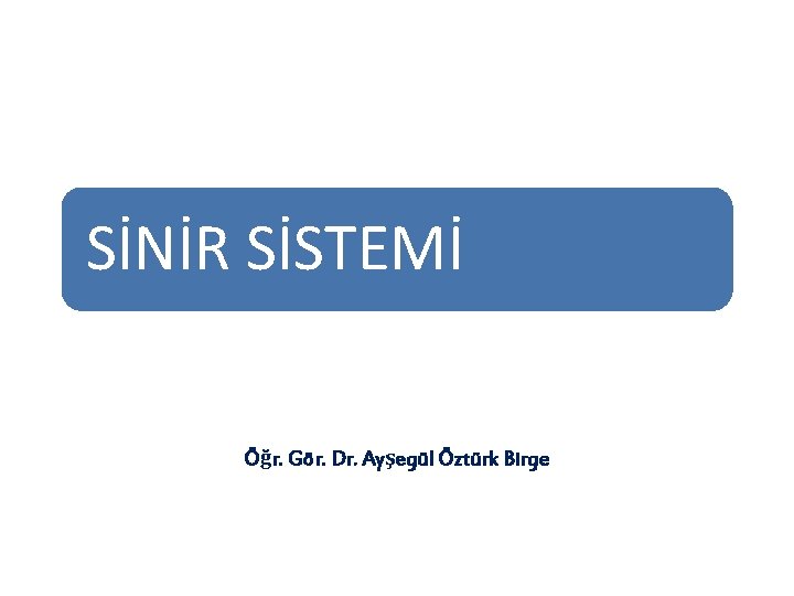 SİNİR SİSTEMİ Öğr. Gör. Dr. Ayşegül Öztürk Birge 