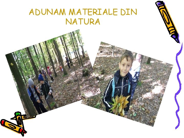 ADUNAM MATERIALE DIN NATURA 