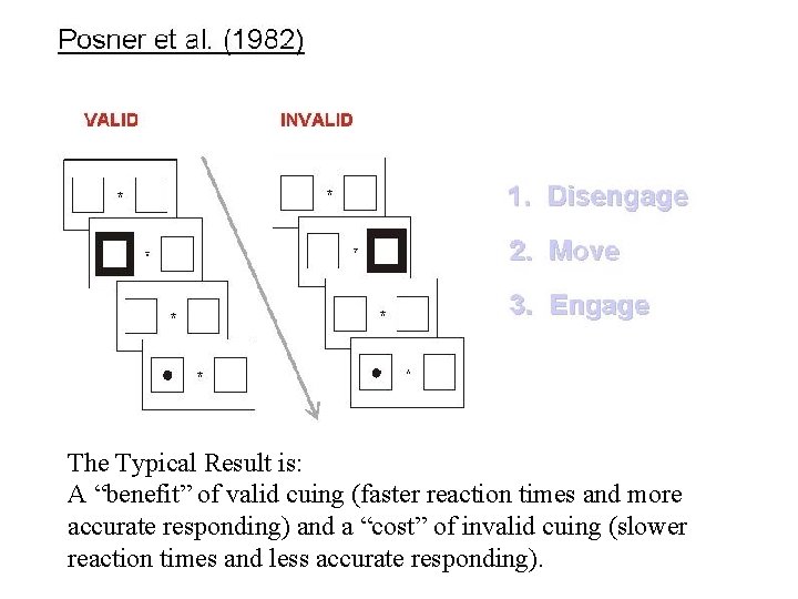 The Typical Result is: A “benefit” of valid cuing (faster reaction times and more