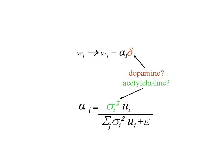 w i + α iδ dopamine? acetylcholine? α i = i² ui j j²